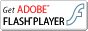 Flash Player installieren